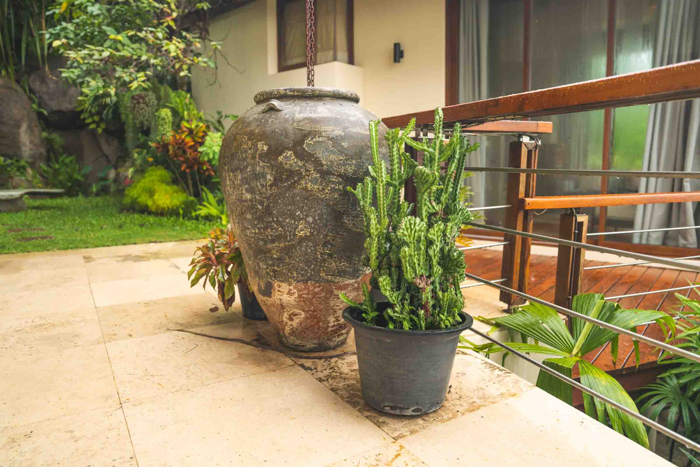 Garden nature